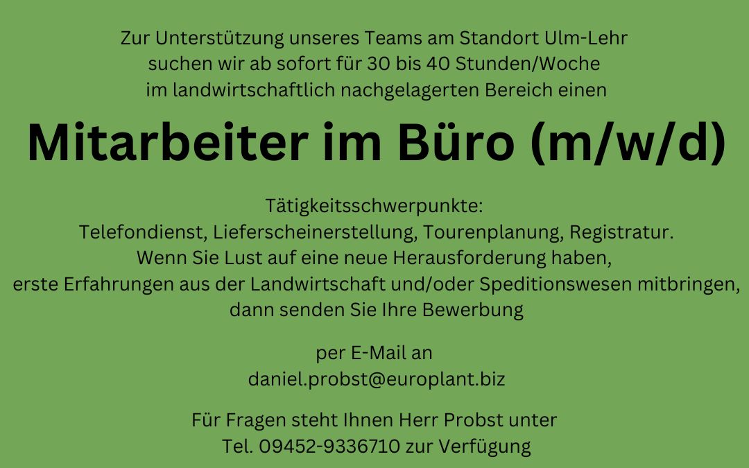 Mitarbeiter im Büro m/w/d